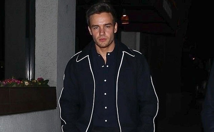 Forget The Negativity Because Liam Payne's Pics Of Latest Dinner Outing Is All We Care About!