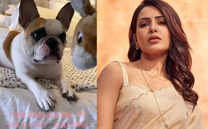 Samantha Akkineni: Does 'Samantha' make more money on Instagram?