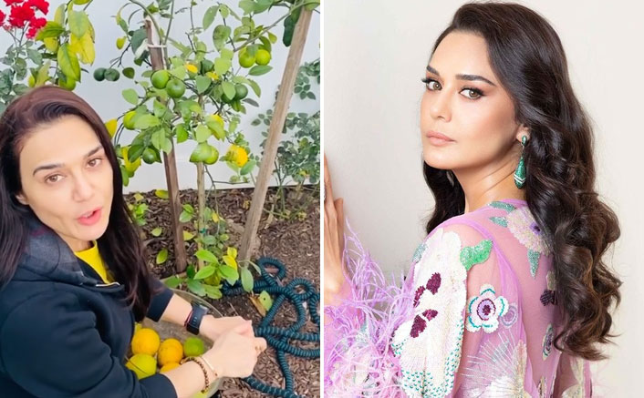 Preity Zinta is back to 'ghar ki kheti'