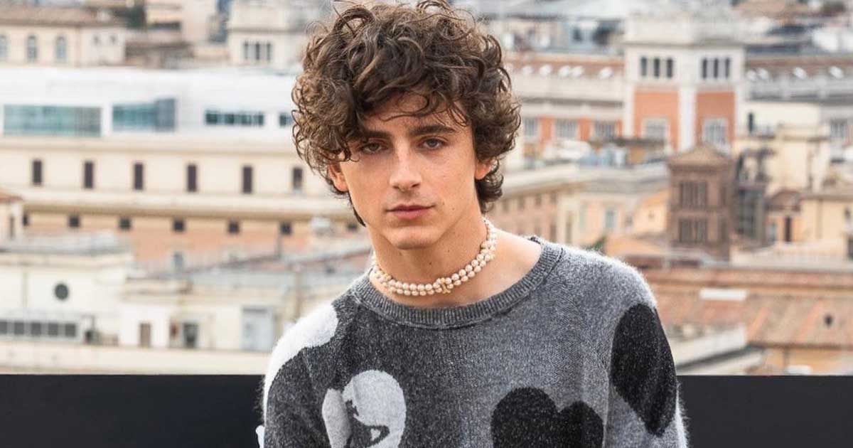 What Has Timothee Chalamet Been In?