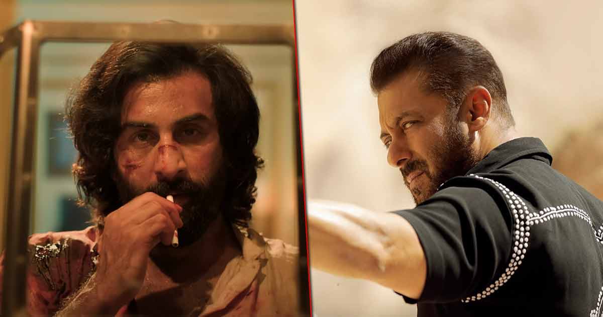 Animal Box Office (Worldwide): In Just 4 Days, Crosses To Date Overseas Numbers of Tiger 3, 5th Day Will Cross The Lifetime Total!